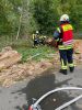Brand B2