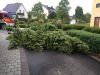 Einfache TH
